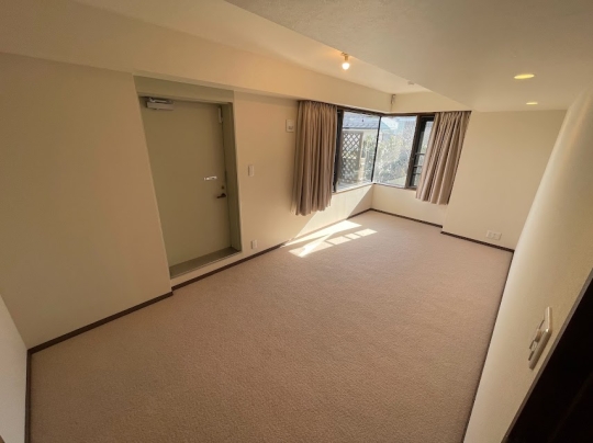 Spacious master bedroom